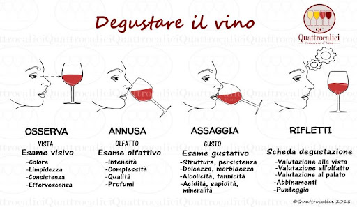 qualità del vino