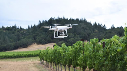 viticoltura drone
