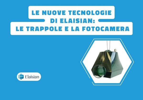 tecnologie elaisian