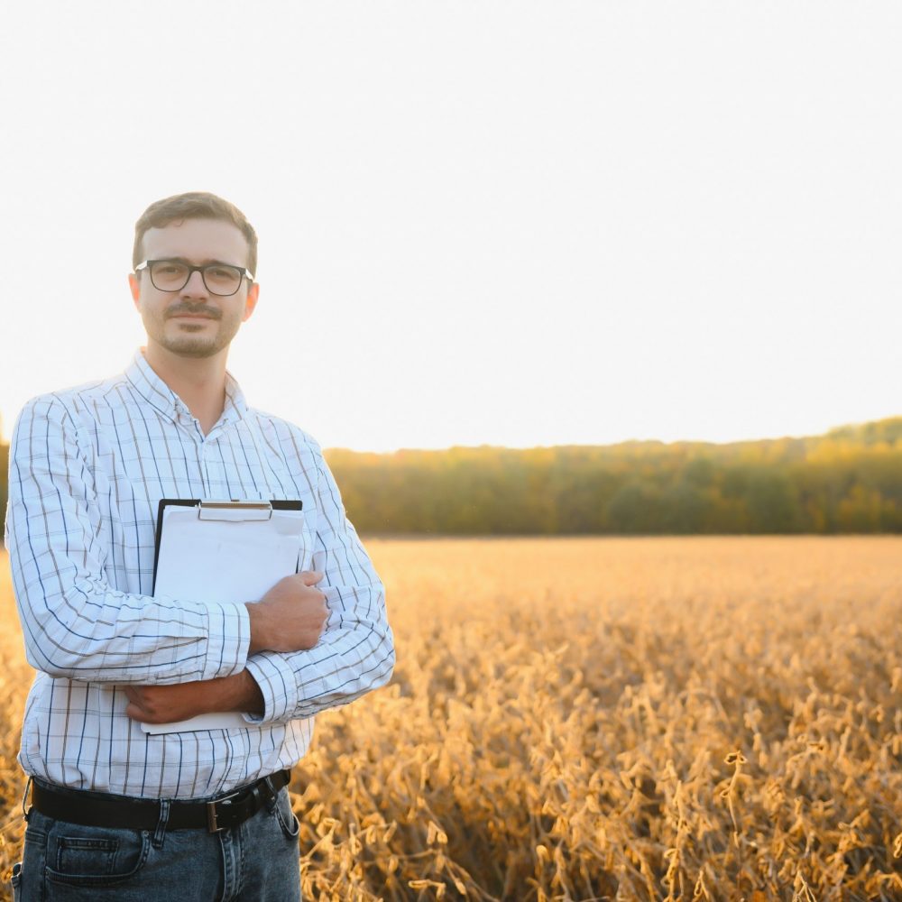 agronomist or farmer examining crop of soybeans field.