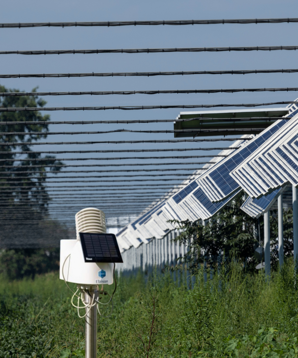 AGRIVOLTAICO STAZIONE ELAISIAN (1) AGRIVOLTAICO STAZIONE ELAISIAN (1)