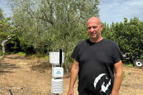 stazione meteo progetto uliveto